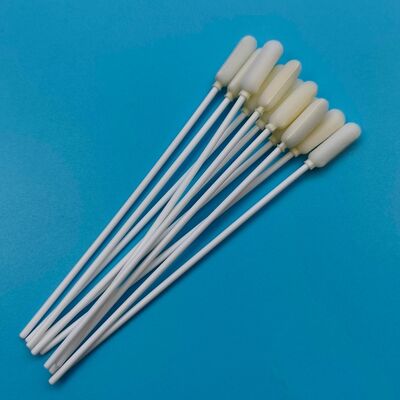14cm 일회용 긴 PP 스틱 큰 거품 끝 구강 스랩 비생물 표본 수집 스랩 인플루엔자 테스트 샘플링 스랩