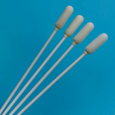 14cm 일회용 긴 PP 스틱 큰 거품 끝 구강 스랩 비생물 표본 수집 스랩 인플루엔자 테스트 샘플링 스랩