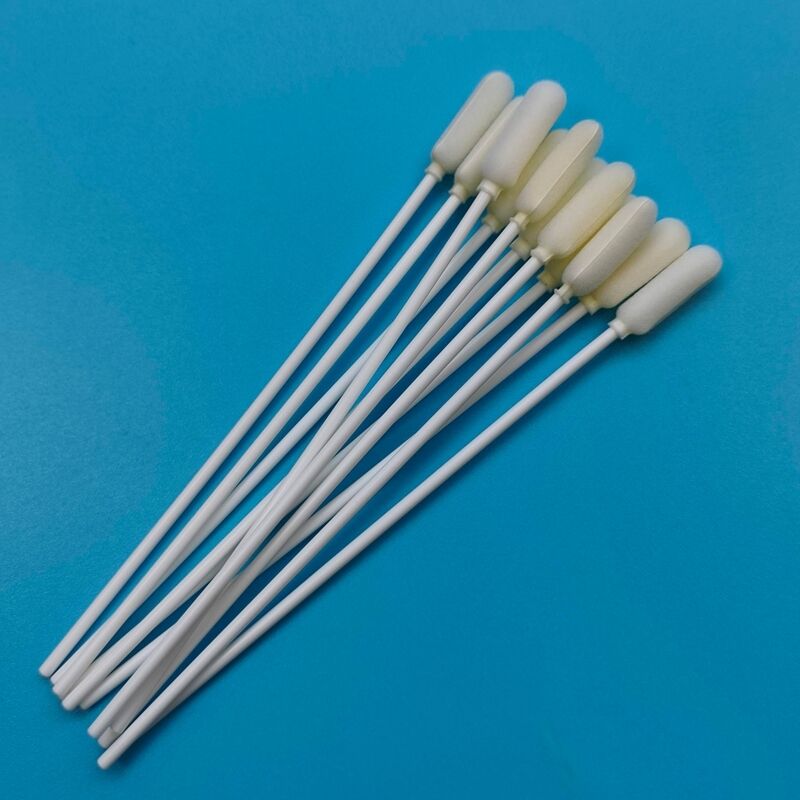 14cm 일회용 긴 PP 스틱 큰 거품 끝 구강 스랩 비생물 표본 수집 스랩 인플루엔자 테스트 샘플링 스랩